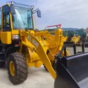 Hongyuan ZL 16B